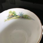 Woodlands light blue handle Tea cup and saucer